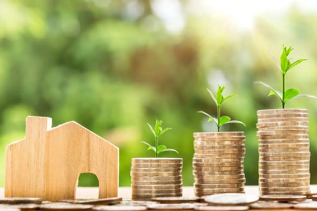 Como Organizar Suas Financas do Zero Um Guia Completo para Iniciantes