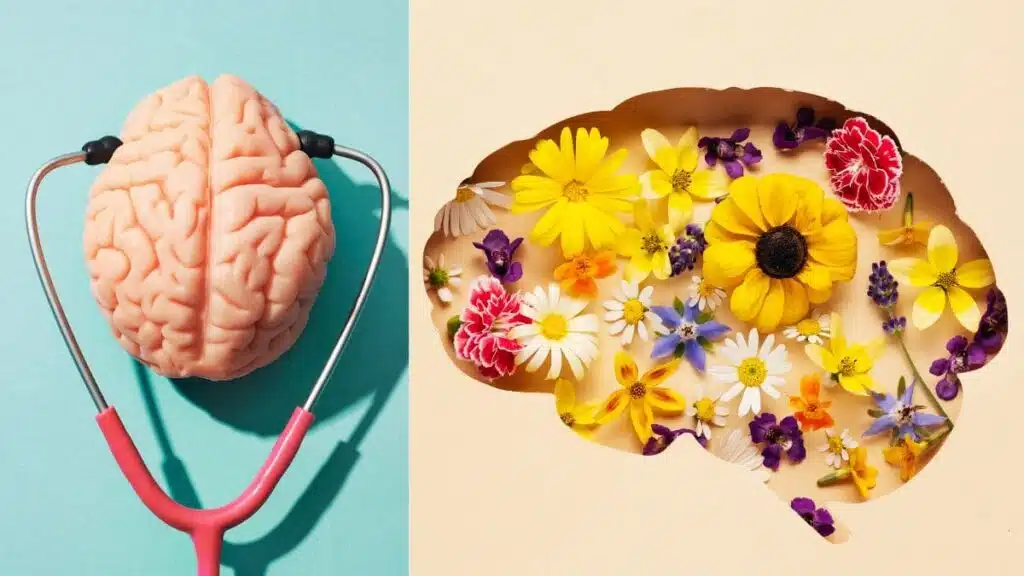 Dicas de como cuidar da sua Saúde Mental Recôncavo digital