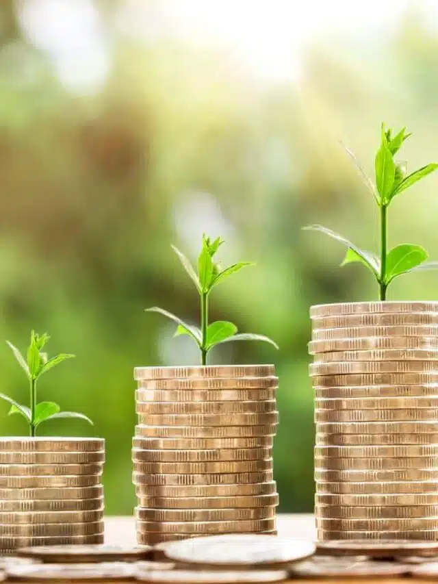 Como Organizar Suas Finanças do Zero: